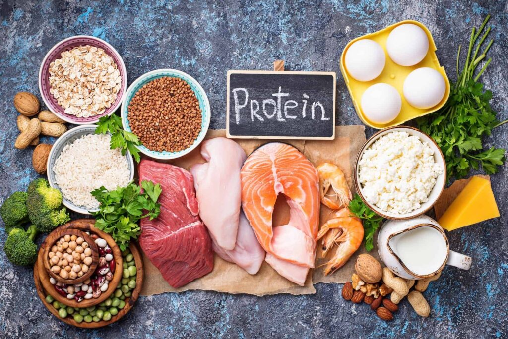 Image of various types of protein on a bench