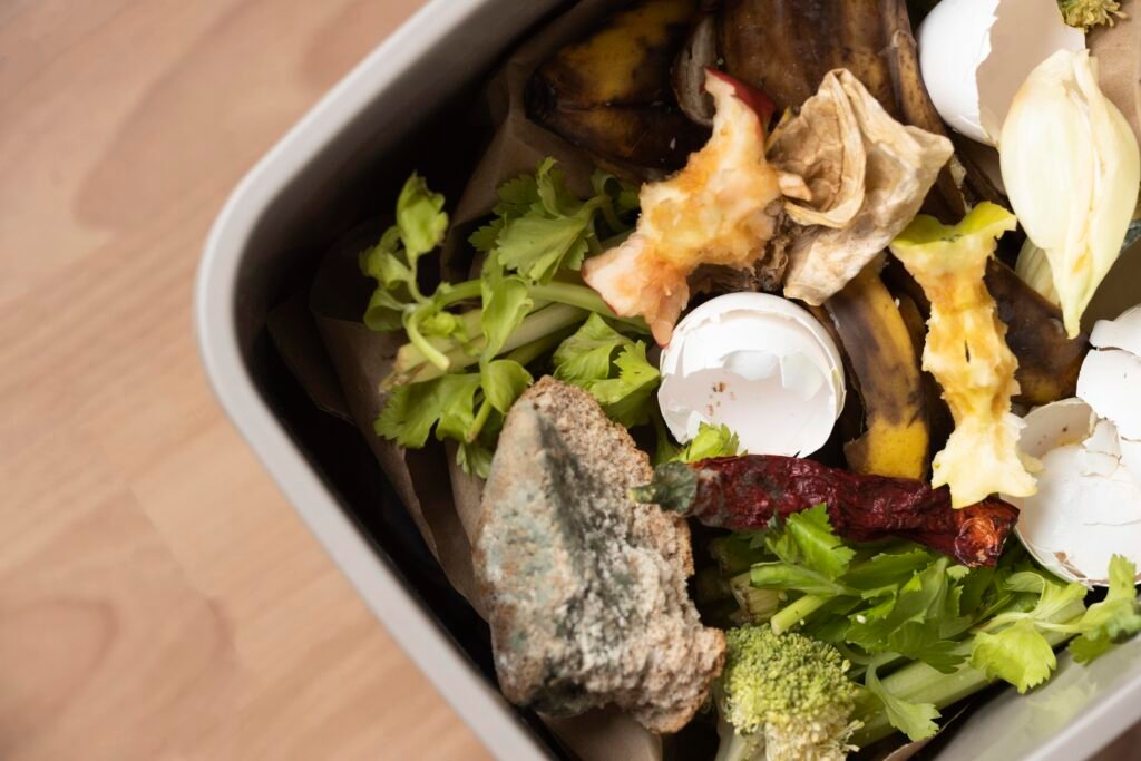 food scraps in food waste caddy bin