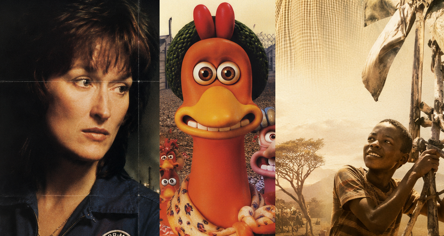 images inspired by posters of silkwood, chicken run and the boy who harnessed the wind